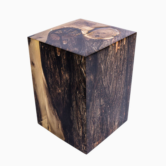 Collections – Glass Log