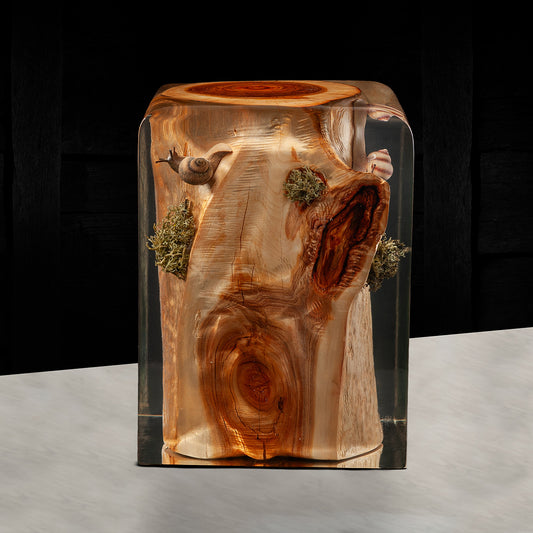 Snail Crystal Log