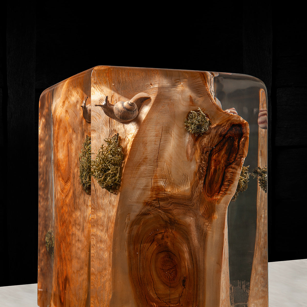 Snail Crystal Log