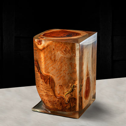 Lizard Crystal Log