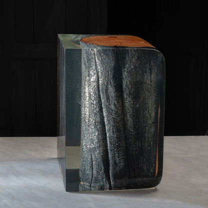 Burned Wooden Crystal Log